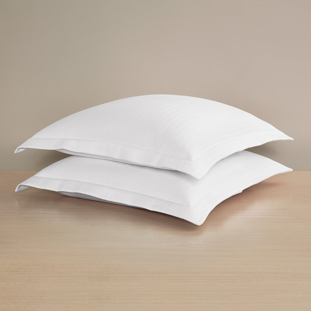 Waves Euro Sham Set of 2