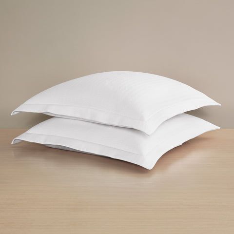 Waves Euro Sham Set of 2
